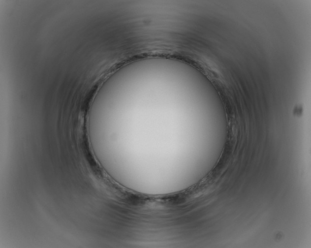 X0000093250550200709261559