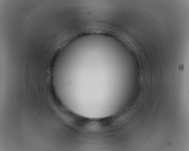 X0000093250551200709261559