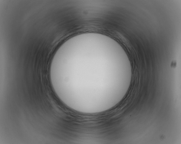 X0000093250552200709261559