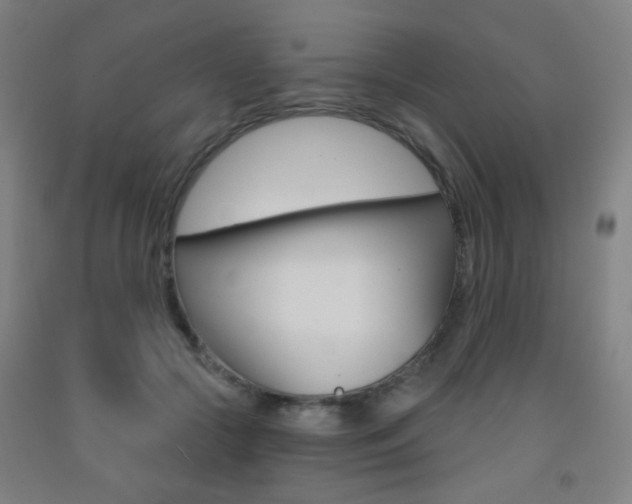 X0000093250553200709261559