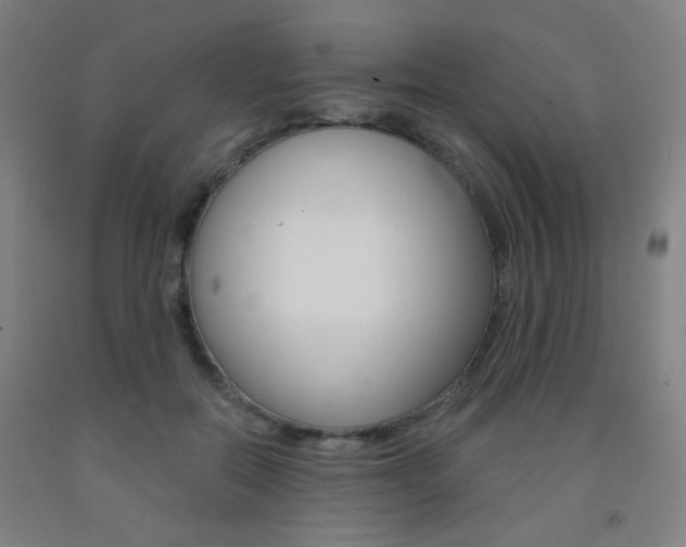 X0000093250554200709261559