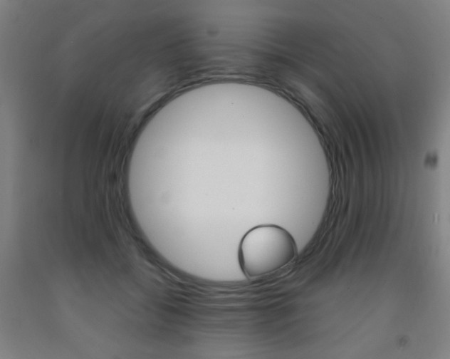 X0000093250556200709261559