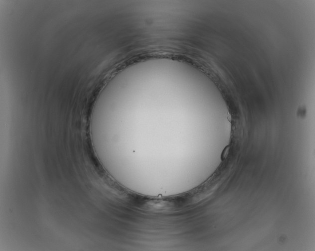 X0000093250557200709261559