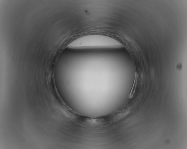 X0000093250558200709261559
