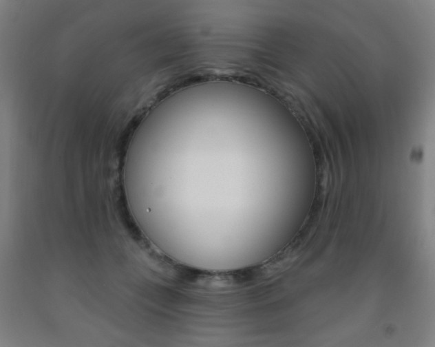 X0000093250559200709261559