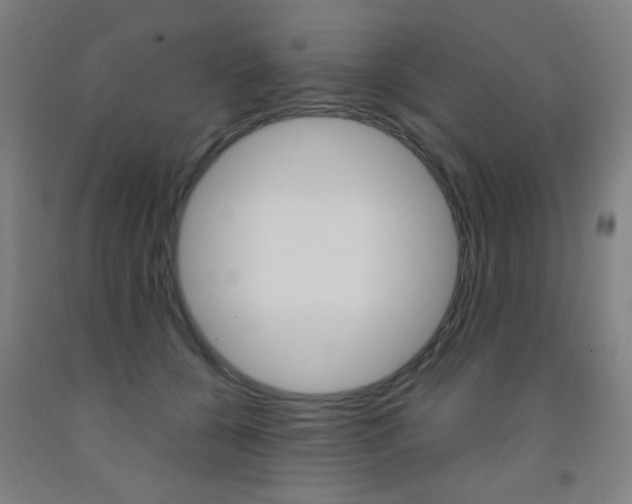 X0000093250560200709261559