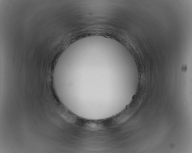 X0000093250561200709261559