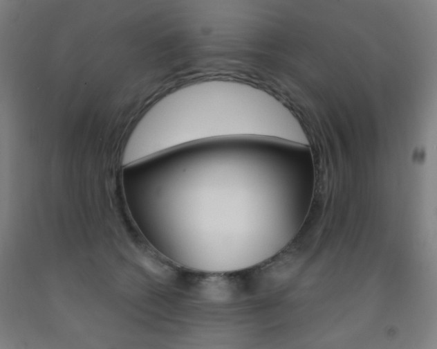 X0000093250562200709261559