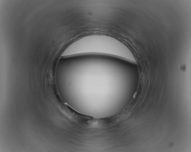 X0000093250564200709261559