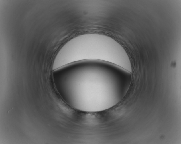 X0000093250566200709261559