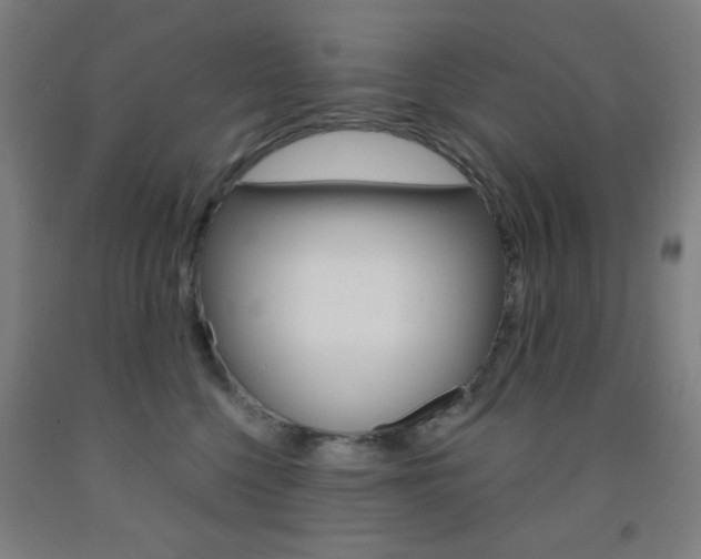 X0000093250568200709261559
