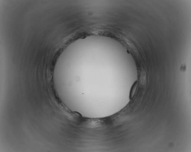 X0000093250569200709261559