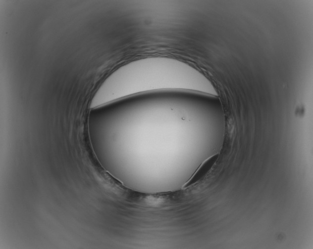 X0000093250570200709261559