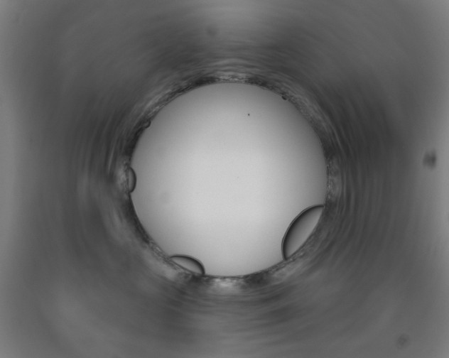 X0000093250573200709261559
