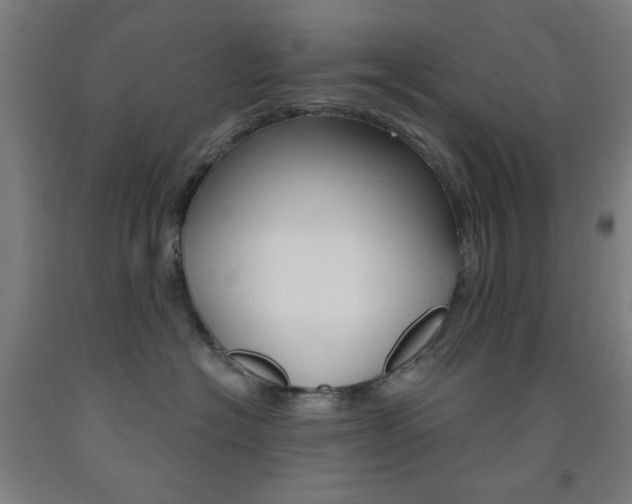 X0000093250574200709261559