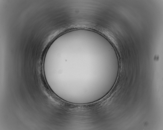 X0000093250578200709261558