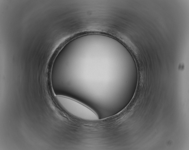 X0000093250580200709261558