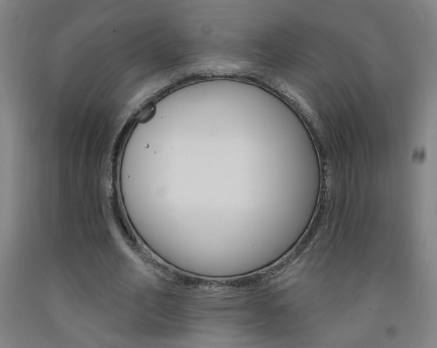 X0000093250582200709261558