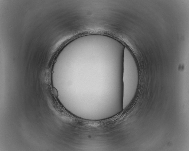 X0000093250583200709261558