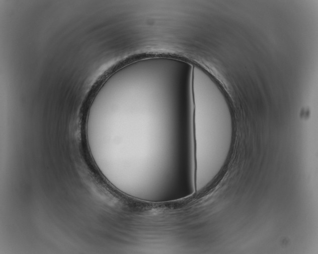 X0000093250584200709261558