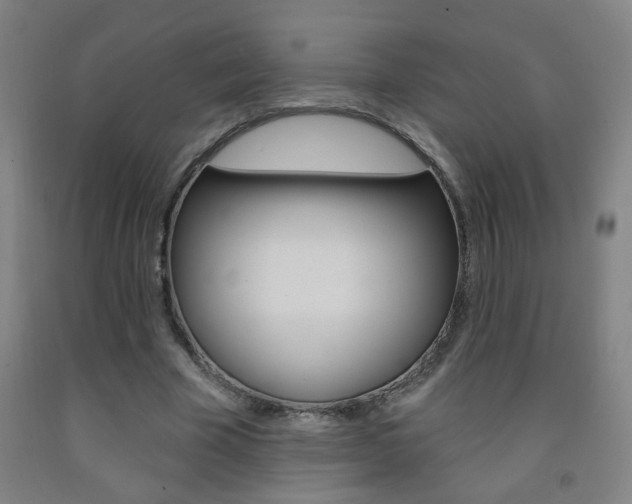 X0000093250585200709261558