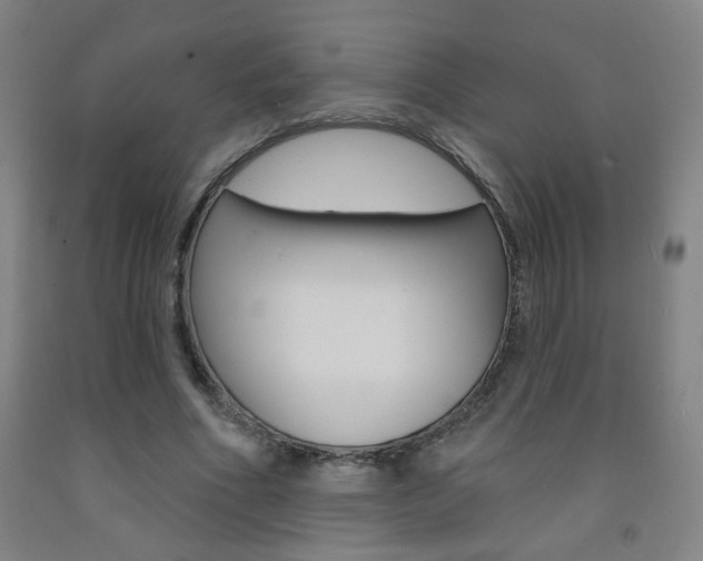 X0000093250586200709261558