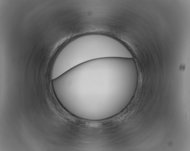 X0000093250587200709261558
