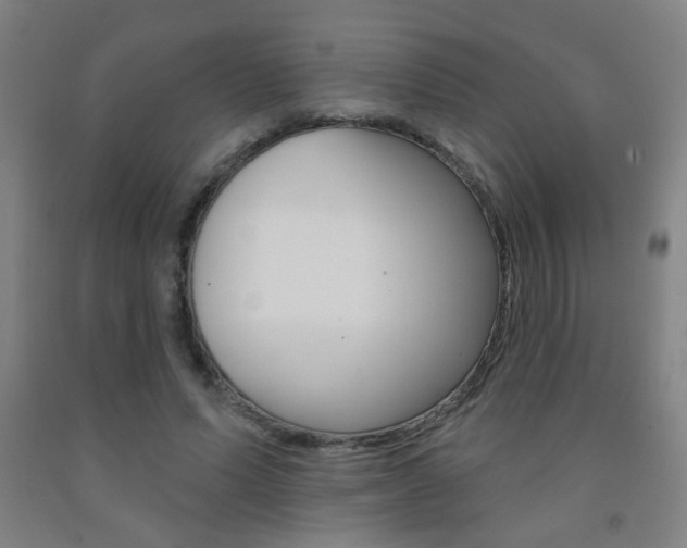 X0000093250591200709261558