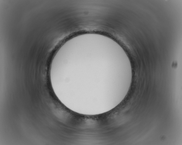 X0000093250592200709261558