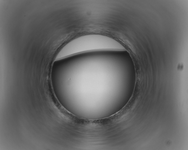 X0000093250593200709261558