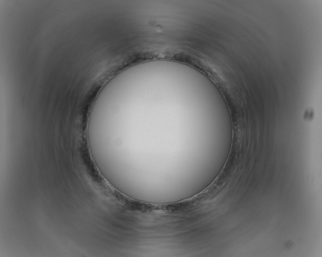 X0000093250594200709261558