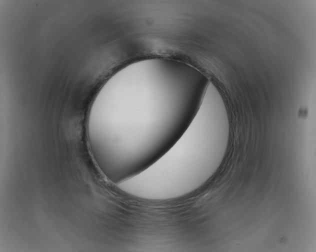 X0000093250595200709261558