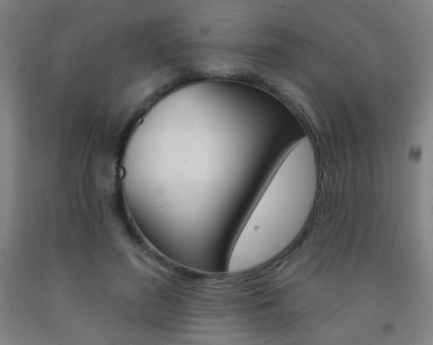 X0000093250596200709261558