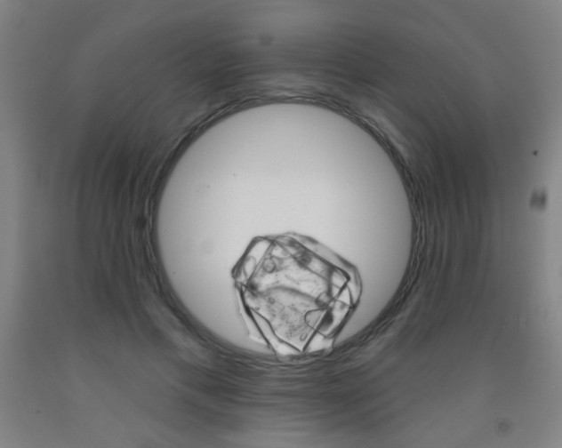 X0000093250597200709261558