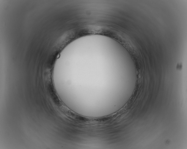 X0000093250598200709261558
