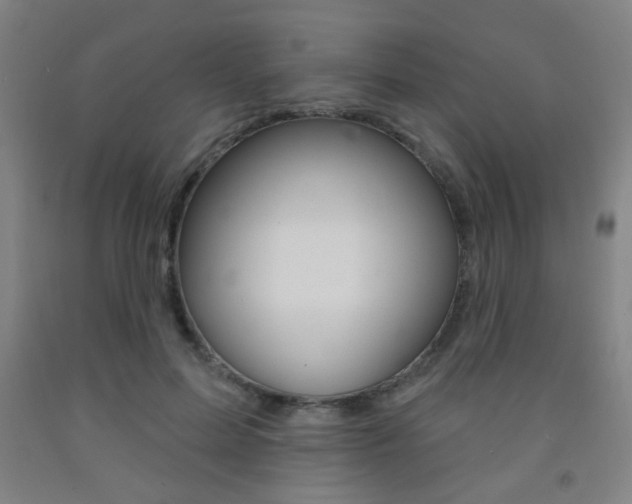 X0000093250599200709261558