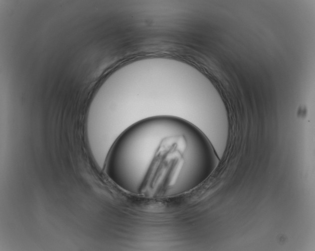 X0000093250600200709261558