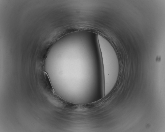 X0000093250601200709261558