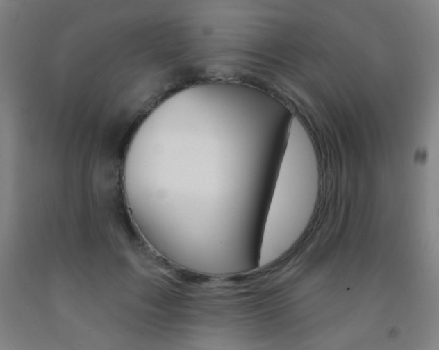 X0000093250603200709261558