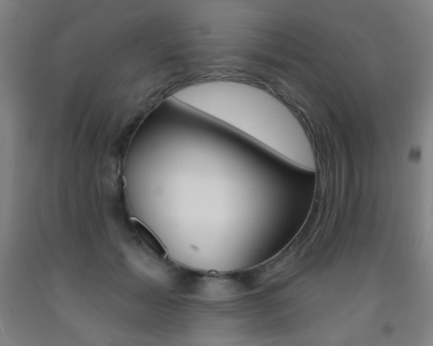 X0000093250605200709261558