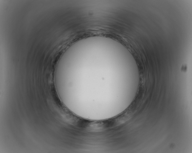 X0000093250606200709261558
