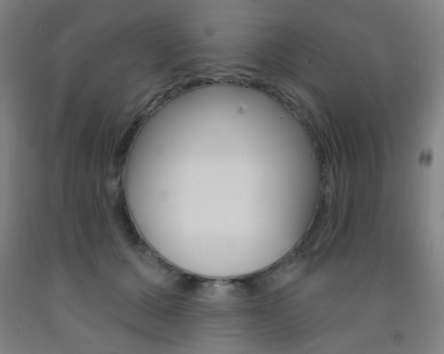 X0000093250607200709261558