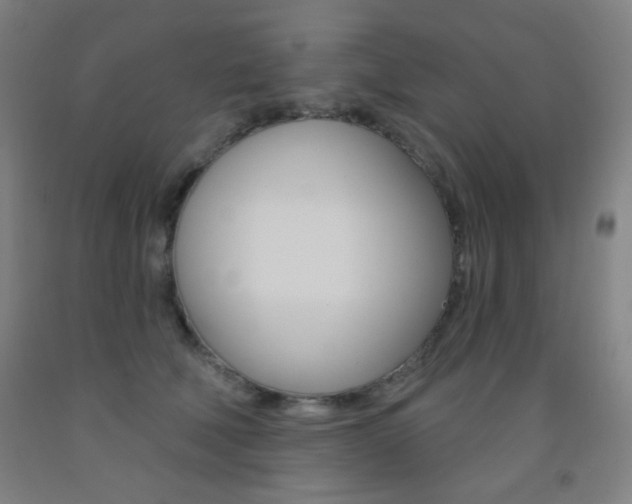 X0000093250610200709261558