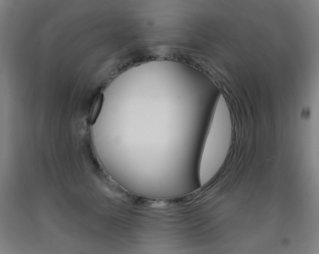 X0000093250611200709261558