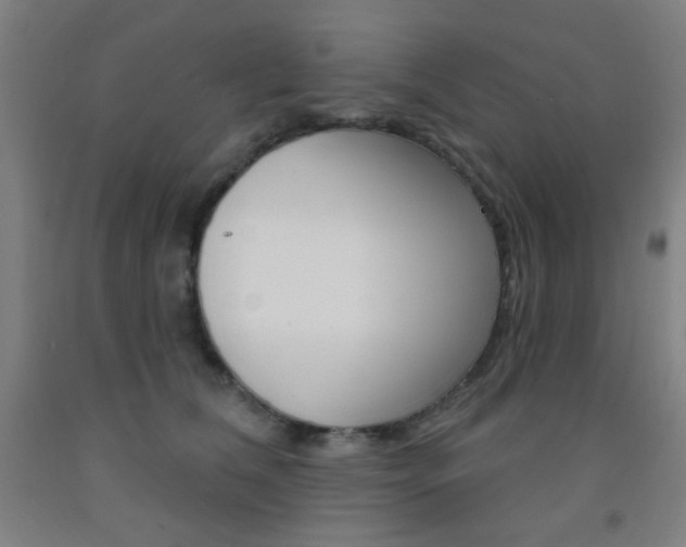 X0000093250612200709261558