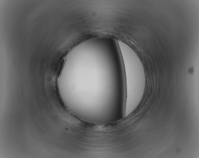 X0000093250613200709261558