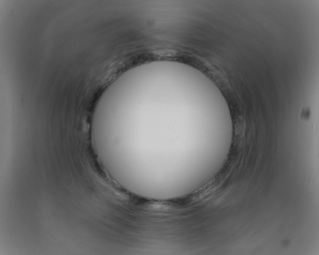 X0000093250614200709261558