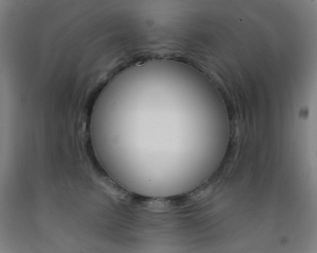 X0000093250615200709261558