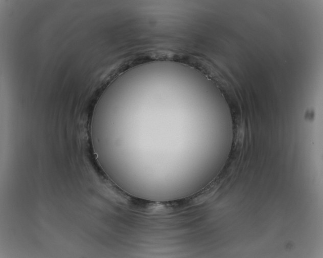 X0000093250616200709261558