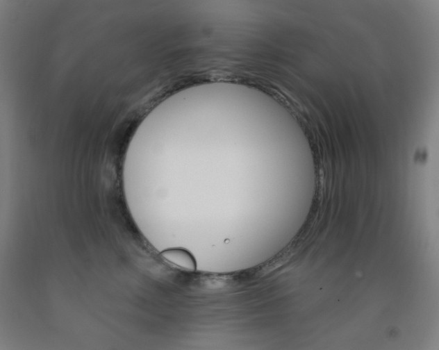 X0000093250618200709261558